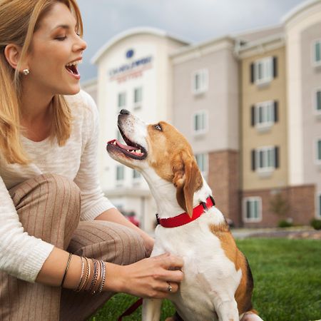 Sonesta Simply Suites Dallas Richardson Esterno foto