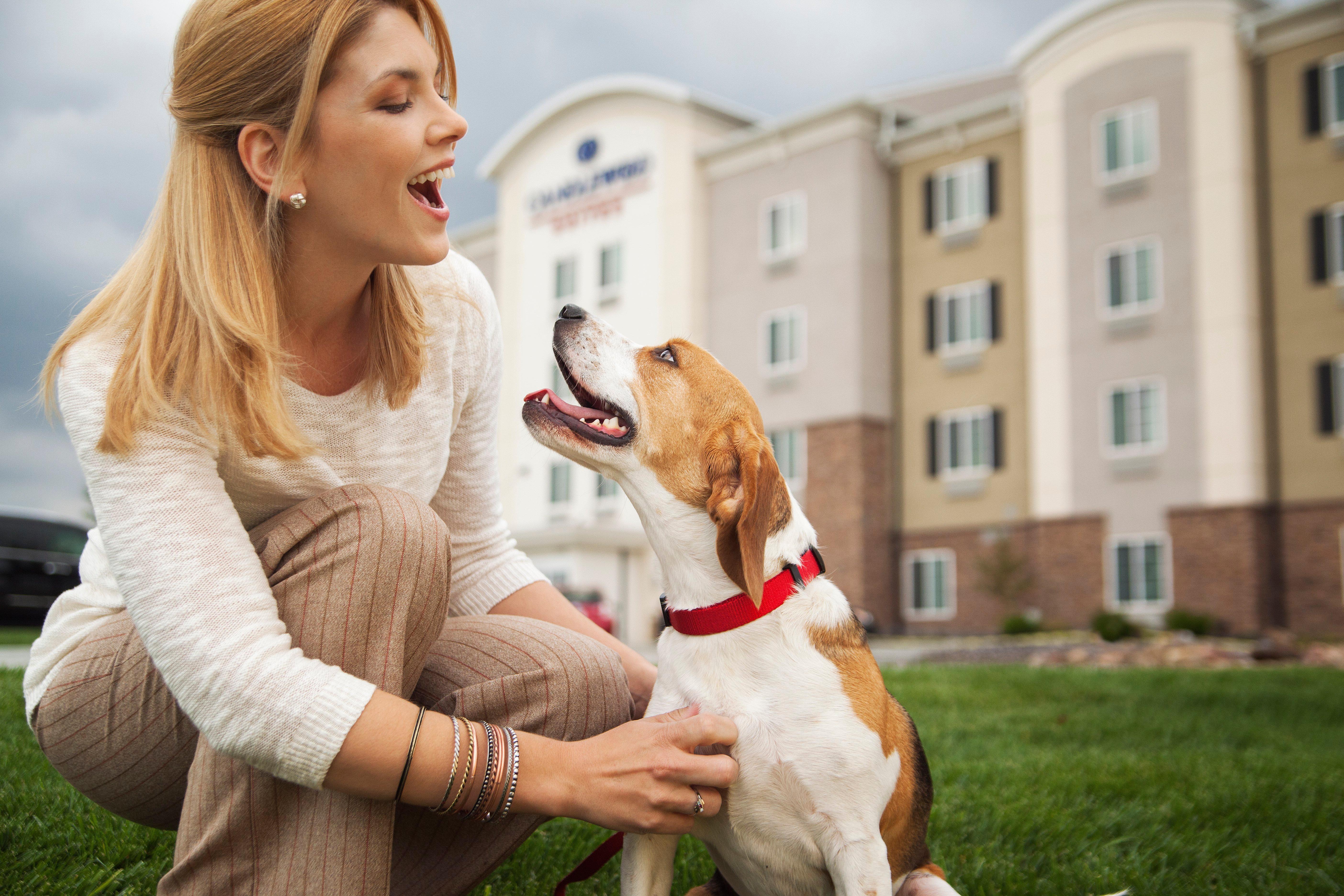 Sonesta Simply Suites Dallas Richardson Esterno foto