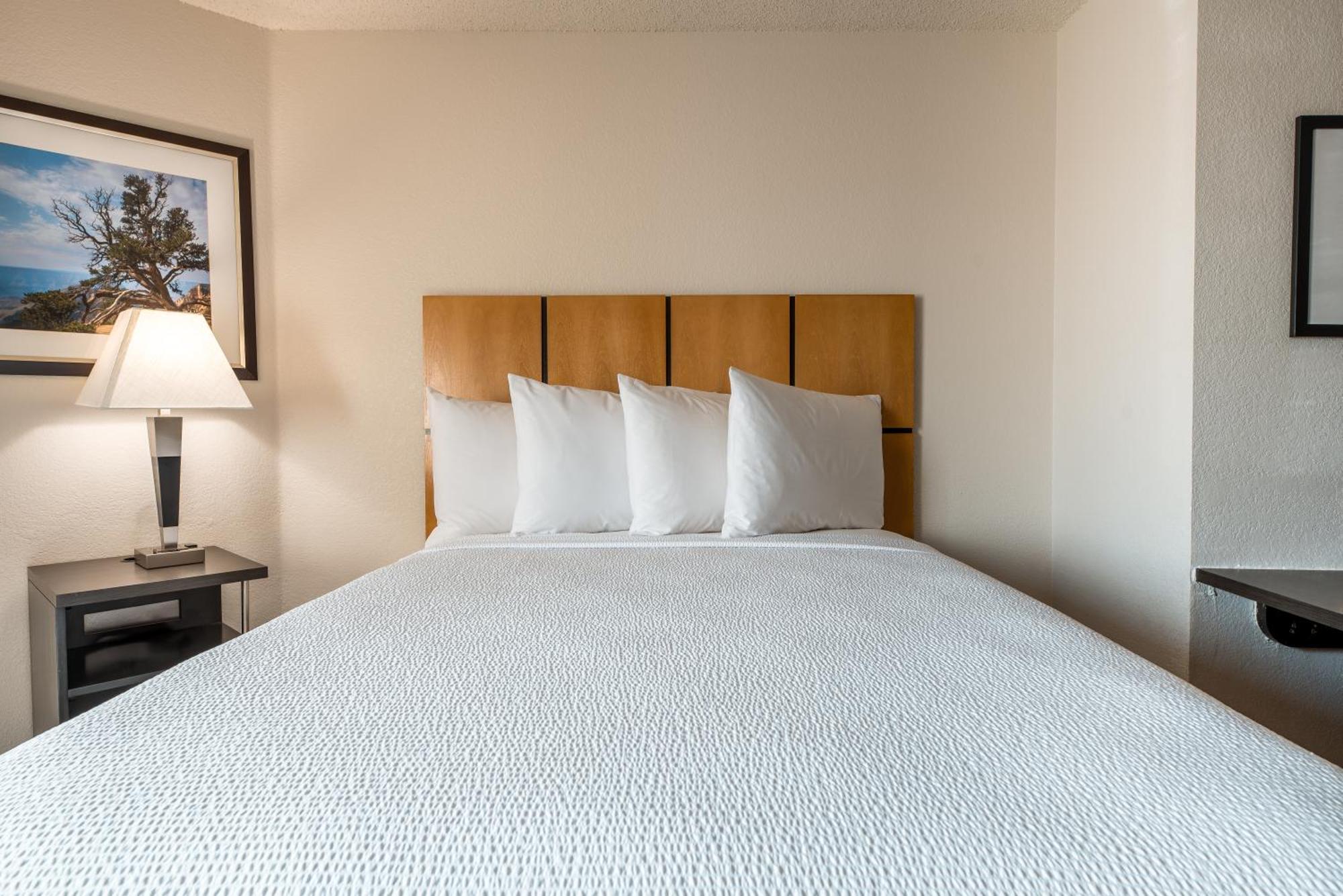 Sonesta Simply Suites Dallas Richardson Esterno foto